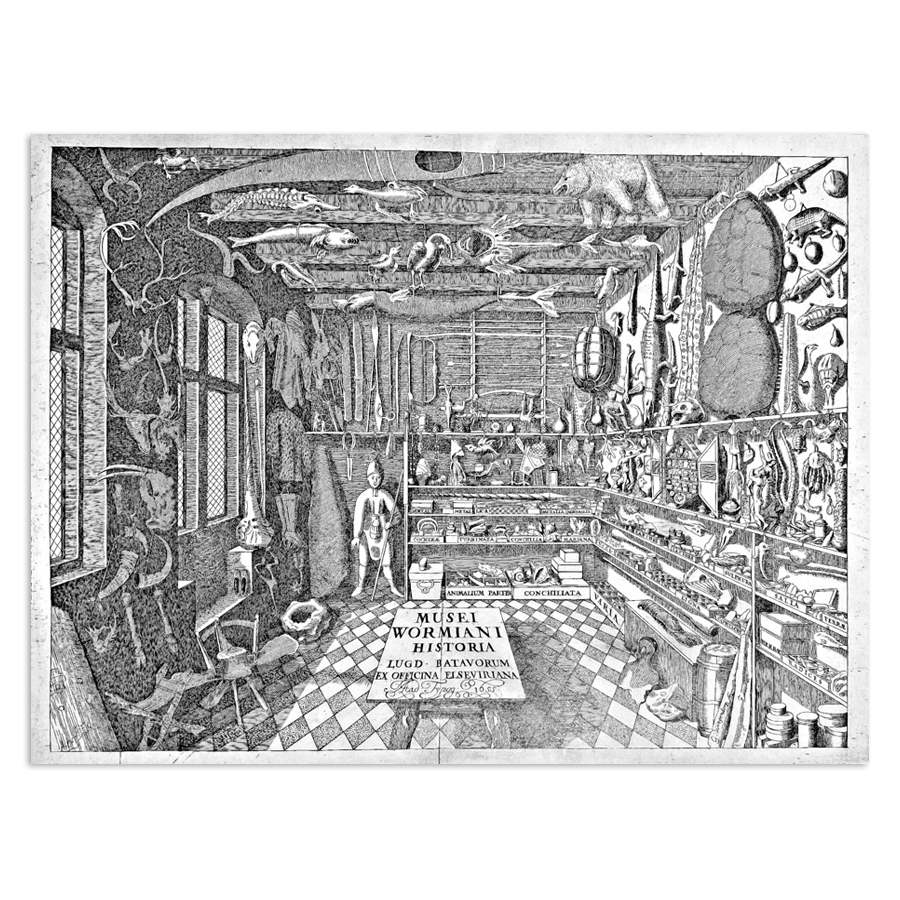 Frontispice de Musei Wormiani Historia
