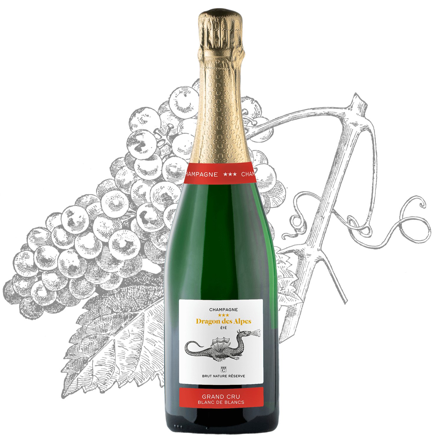 Dragon d'Été